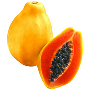 fürge_nyúl